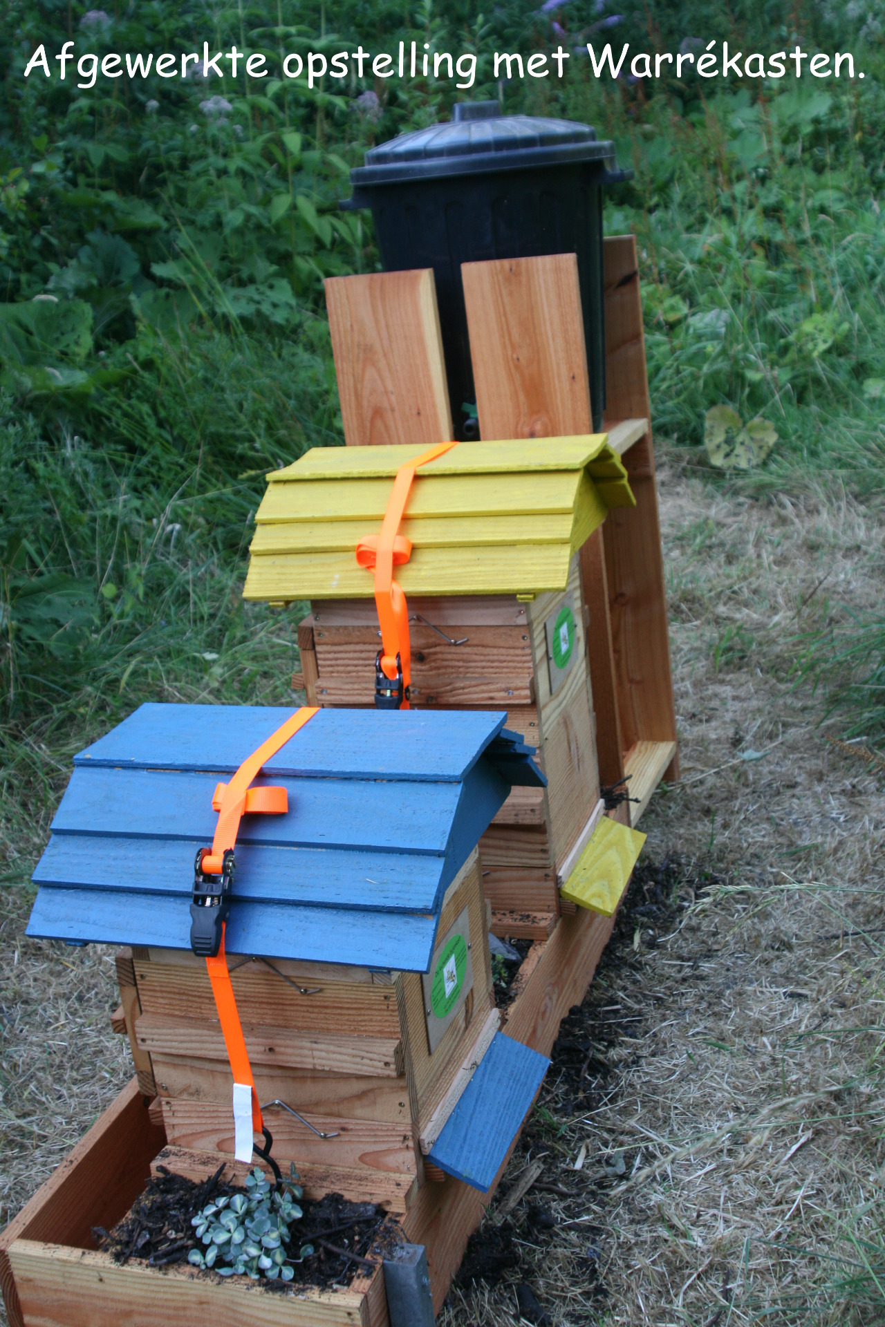 Warré bijenkasten op compost bodem met roofmijten